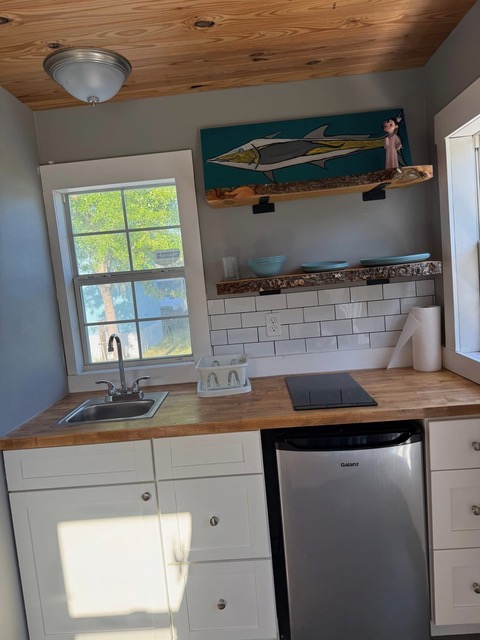 Compact cottage kitchenette with wood counter, sink, small refrigerator, and fish artwork.